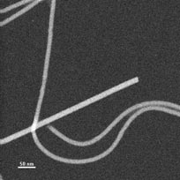 Photo of typical STEM image